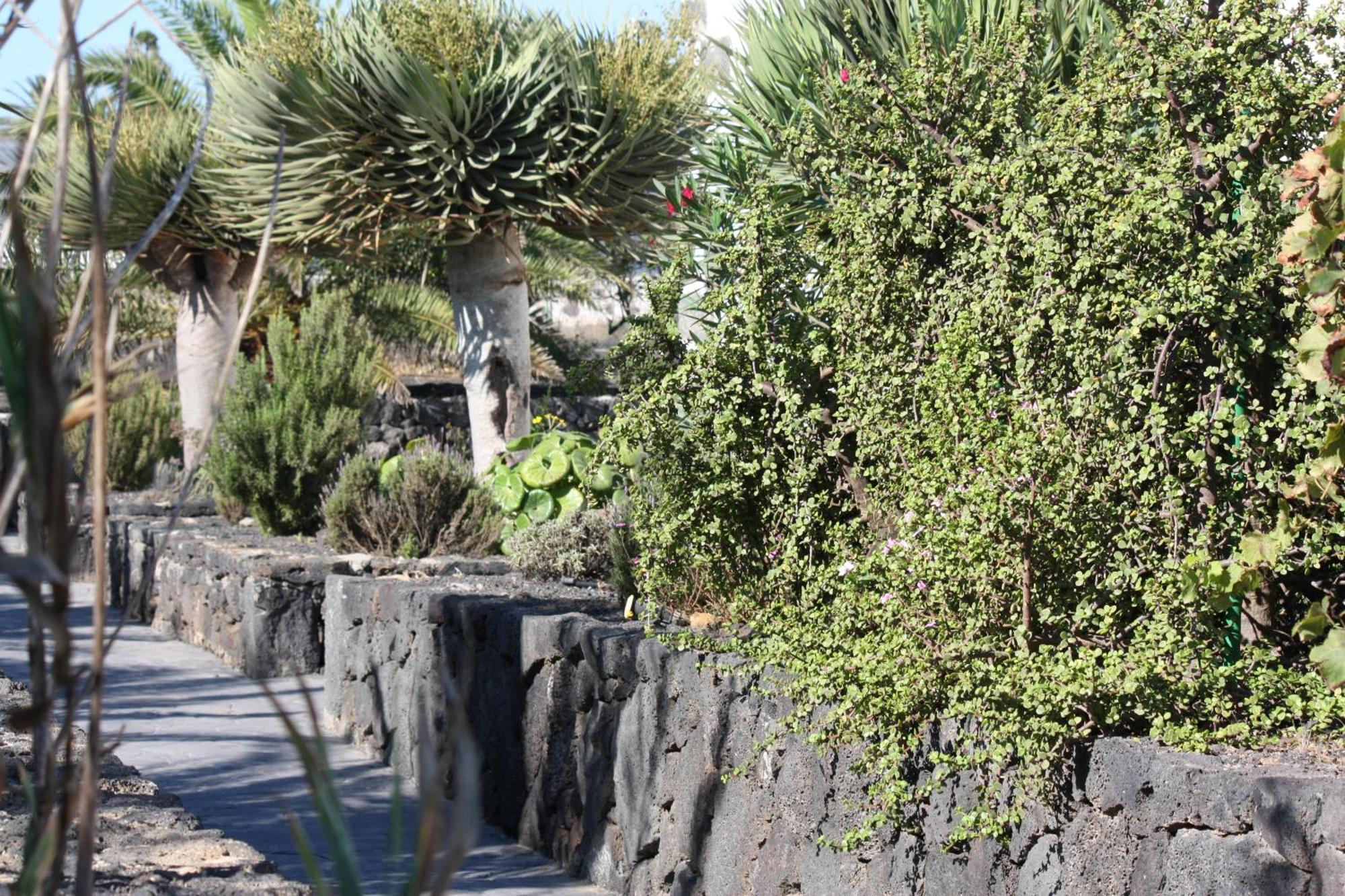Mozaga Casa Rural Finca Isabel المظهر الخارجي الصورة