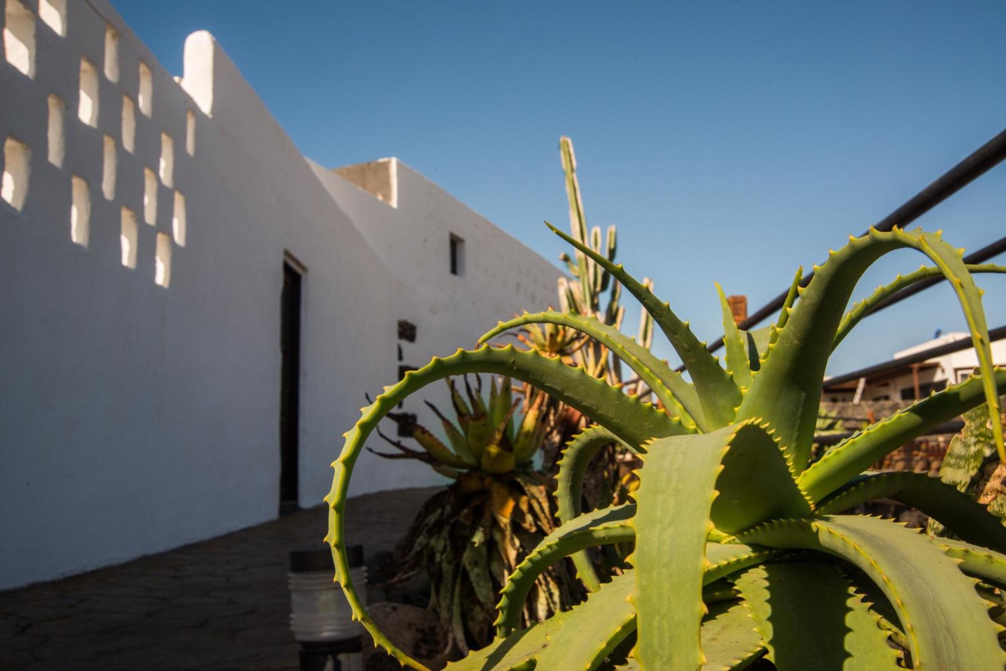Mozaga Casa Rural Finca Isabel المظهر الخارجي الصورة